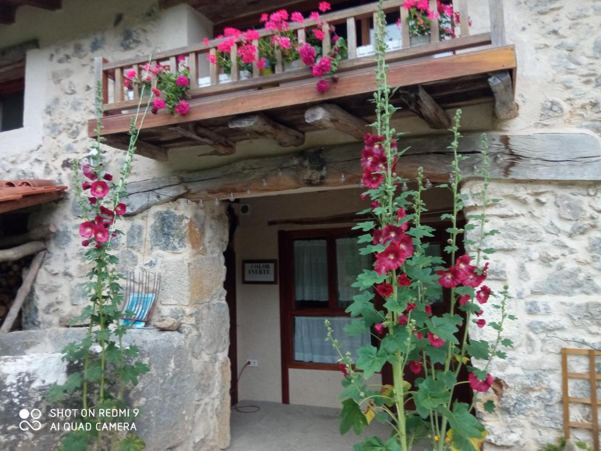 Belaustegi Turismo Rural Ispáster Kültér fotó